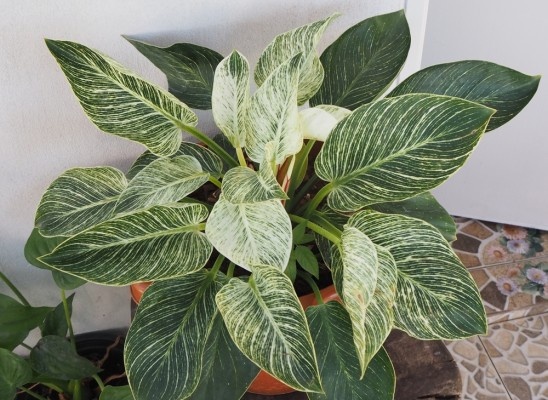 Источник фото shutterstock.com