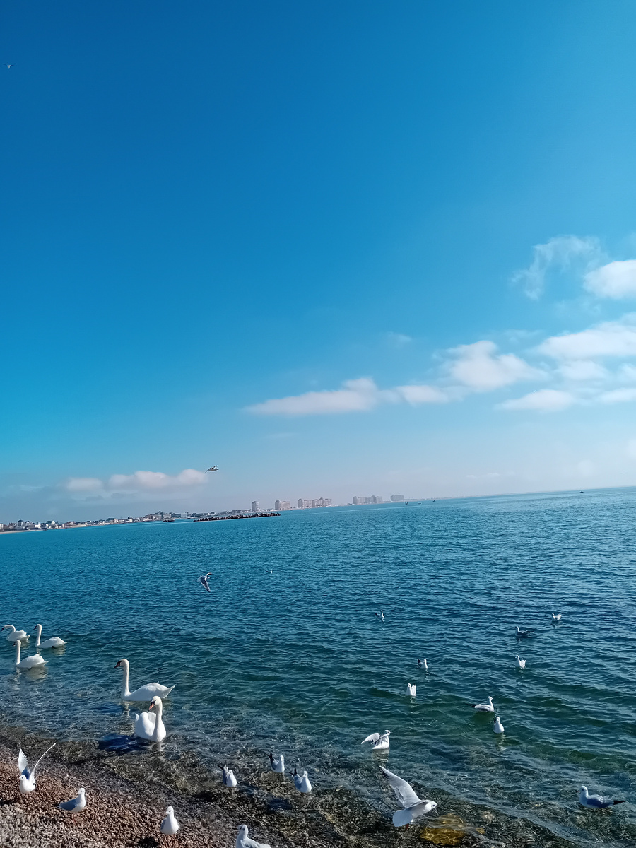 Авторское фото.