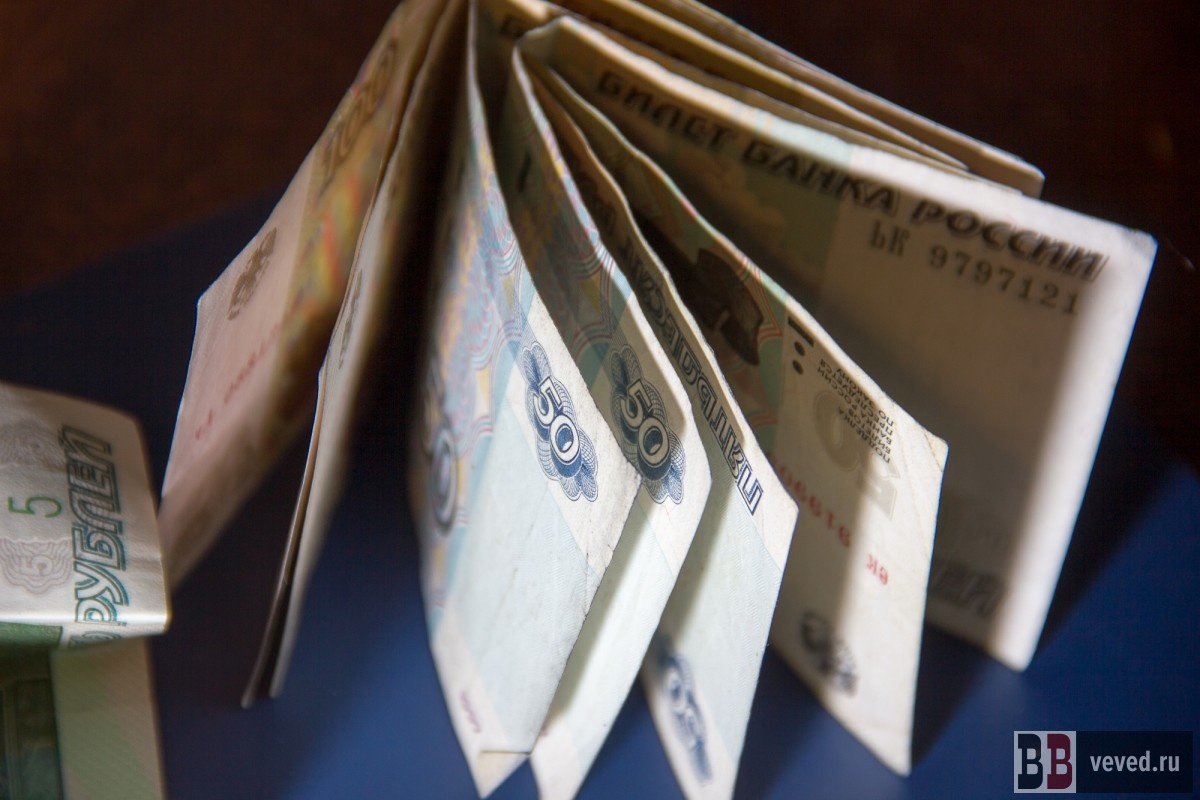     Фото: Андрей Гоголев / Вечерние ведомости