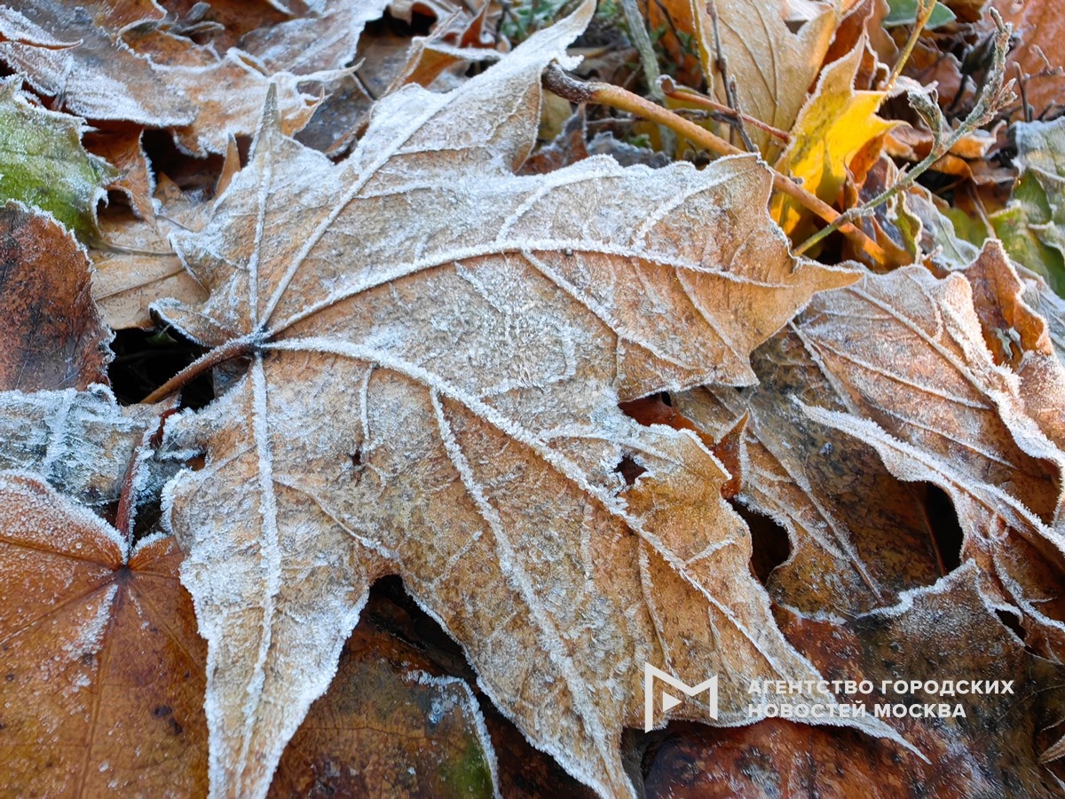 Фотограф: Василий Кузьмичёнок