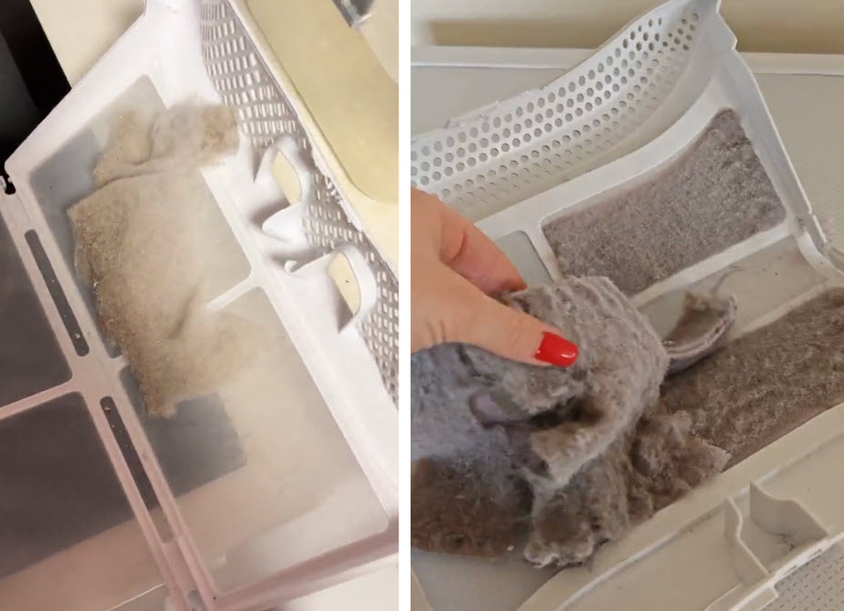 Фото: из открытых источников