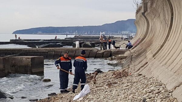    © Сергей Бойко