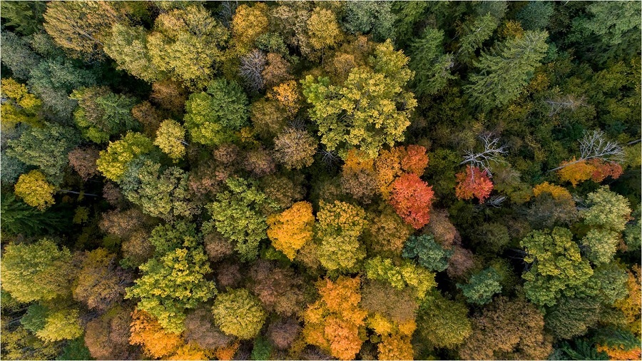 День рождения заповедника "Калужские засеки"