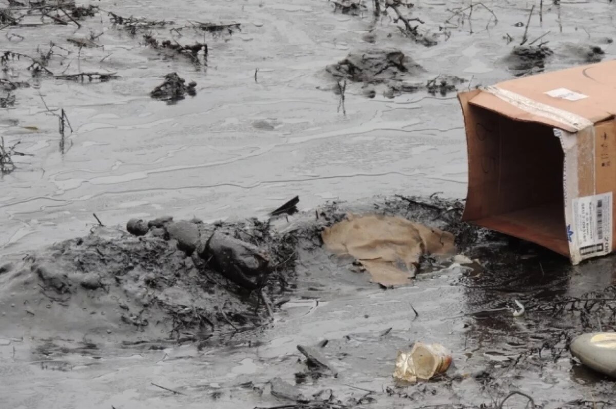    В Пермском крае содержание нефти в лесном участке превышено в 8 тысяч раз