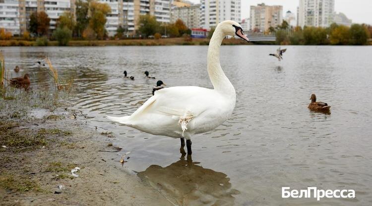 Фото: Елена Журавлёва (архив)