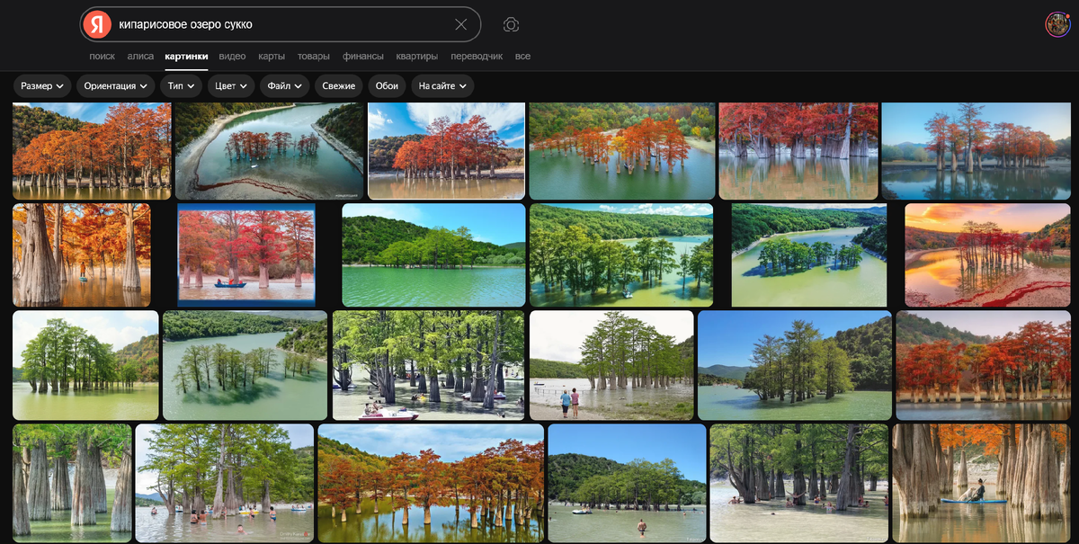 фото из интернета