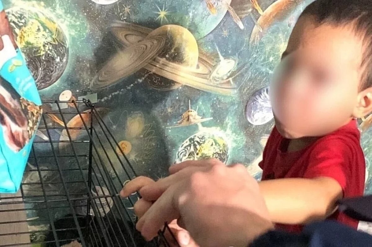    В Уфе спасатели освободили палец ребенка из клетки с крысами