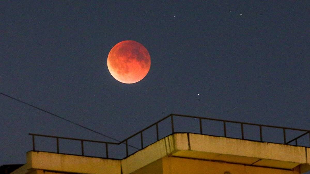    Фото: Сергей Ведяшкин / АГН Москва