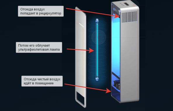 Воздух из помещения засасывается внутрь, проходит через ультрафиолетовое излучение — очищается от бактерий и вирусов, — а потом чистый выходит обратно.