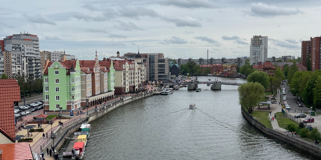 Открывая морские секреты Калининграда и очарование кошачьего Зеленоградска: Ещё один яркий день в пути!