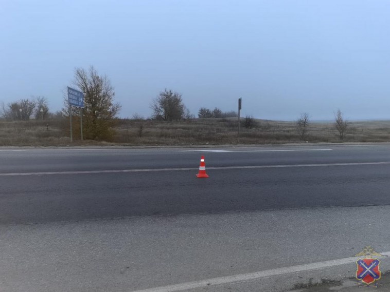 фото: ГУ МВД по Волгоградской области