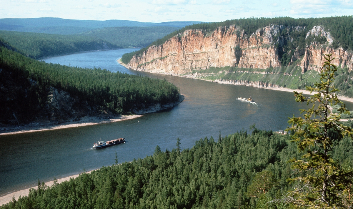 Источник изображения - Яндекс Картинки