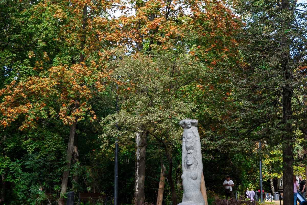 «Императорские» дубы в Усадьбе Кусково