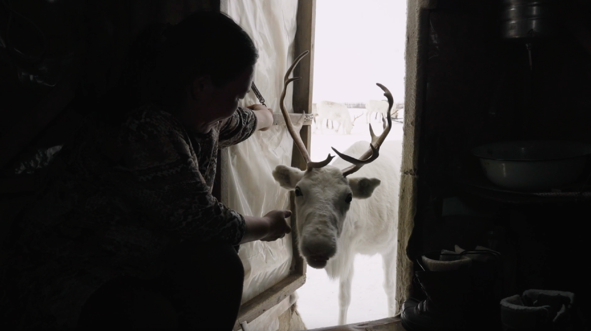 Скриншот из фильма «Люди белой земли»