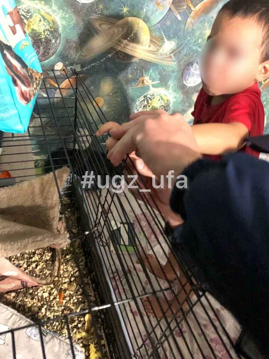    Фото: пресс-служба УГЗ Уфы