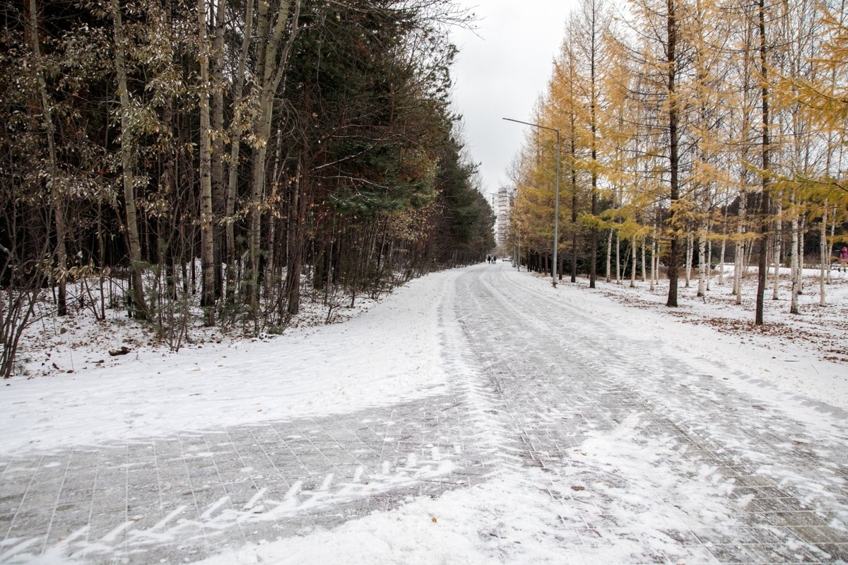    Сургутский парк «За Саймой» продолжает преображаться