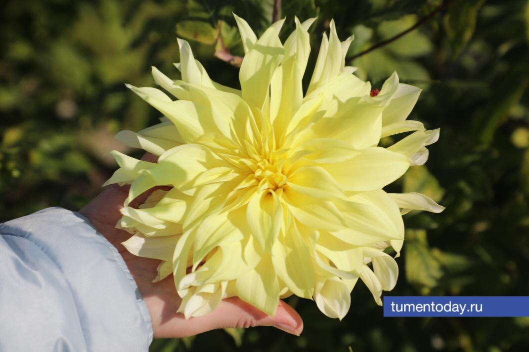  Фото Сергея Куликова