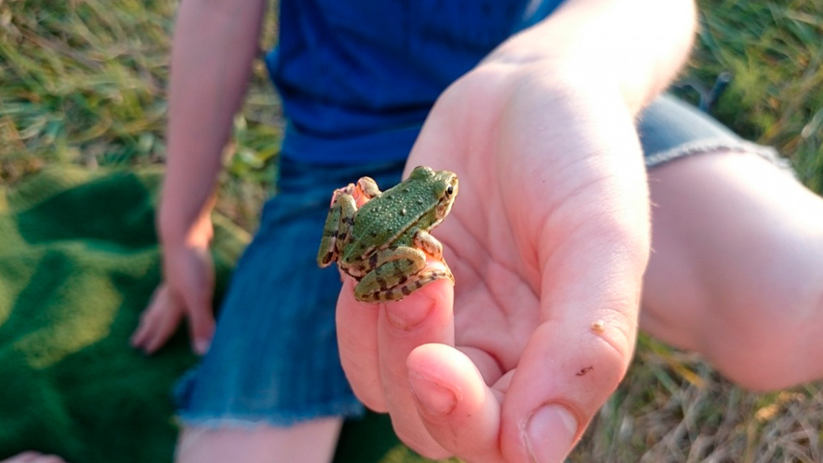 Фото с просторов интернета