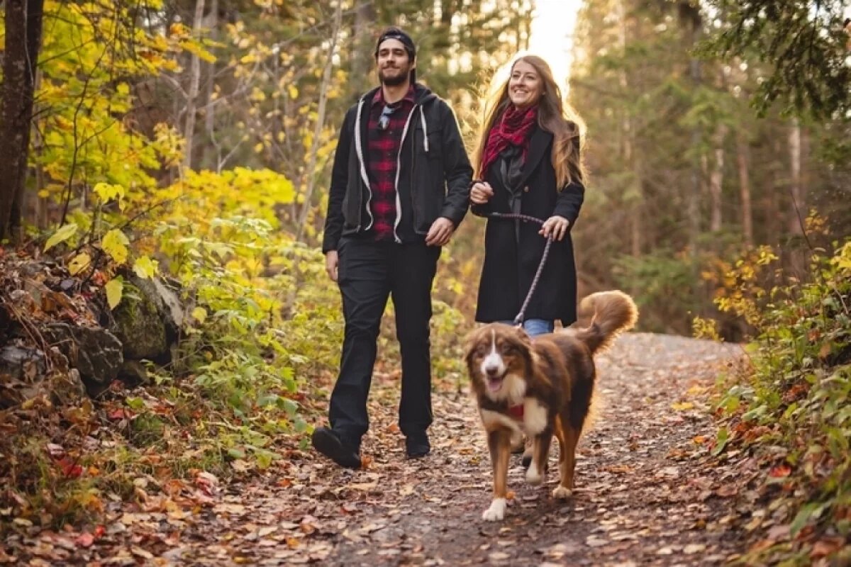    В целом любое количество ходьбы полезно, чтобы снизить риски хронических заболеваний.