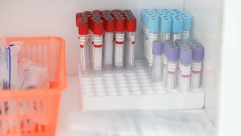      Фото: ИА «Победа26»