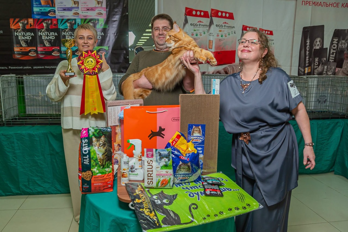 Усама WCF ринг 1 место