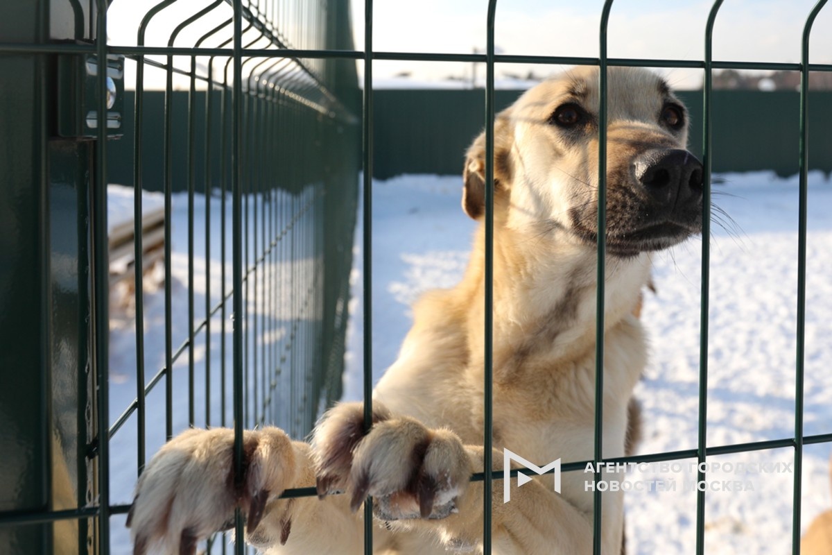 Фотограф: Кирилл Зыков