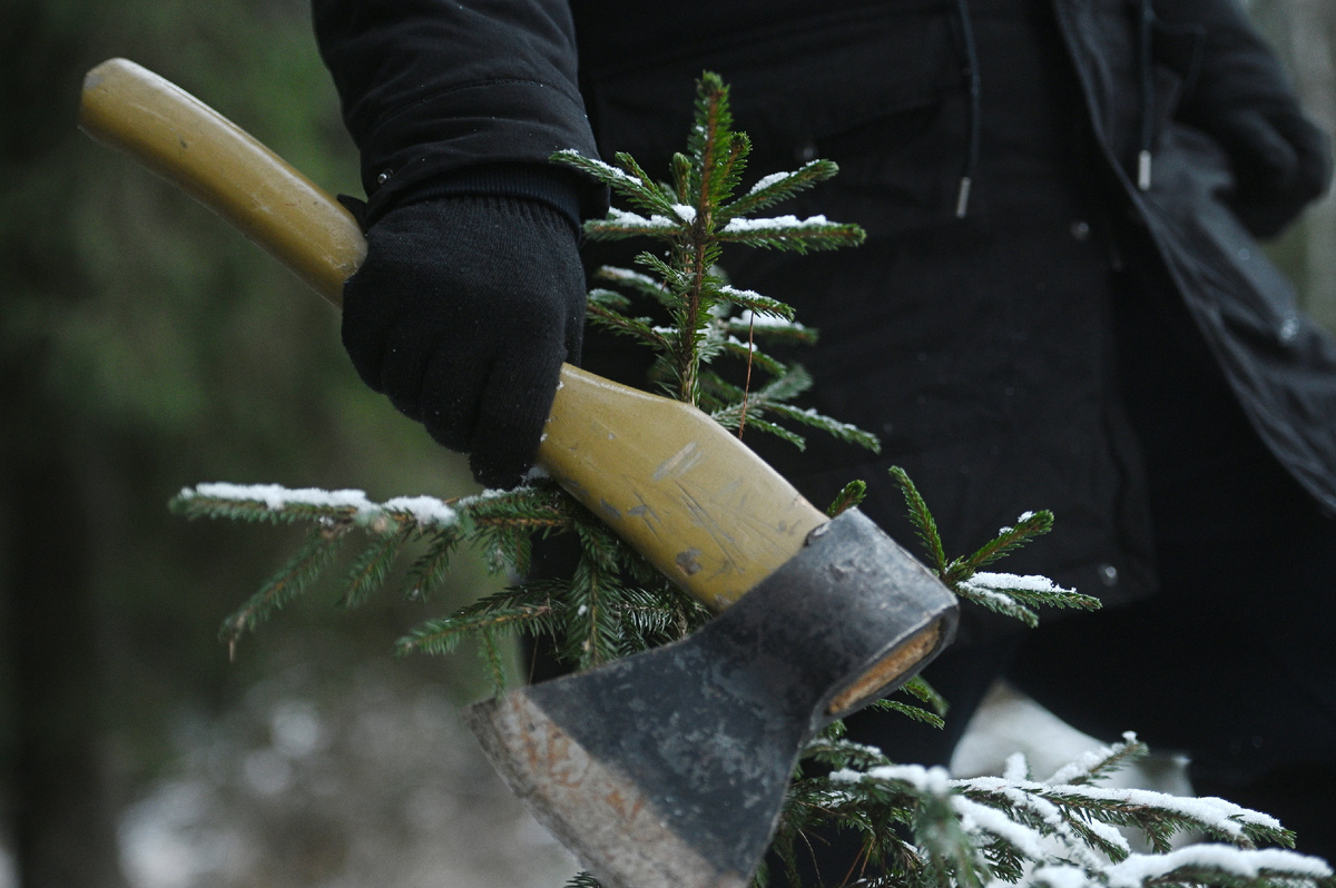 Иногда ревность может привести к тяжелейшим последствиям. Фото: Алексей Булатов