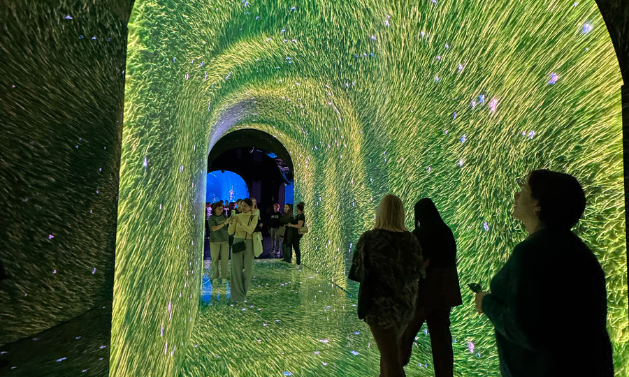 Обратная сторона Краснодара. Что меня удивило?