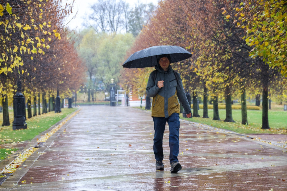    Алексей Белкин/NEWS.ru