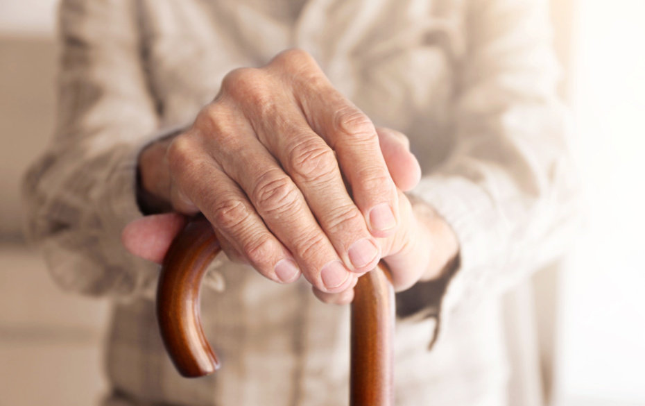    Shutterstock/FOTODOM