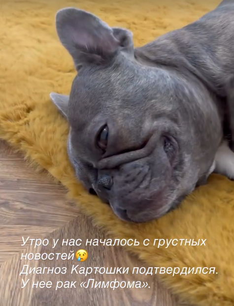 Фото: соцсети/@achekhova