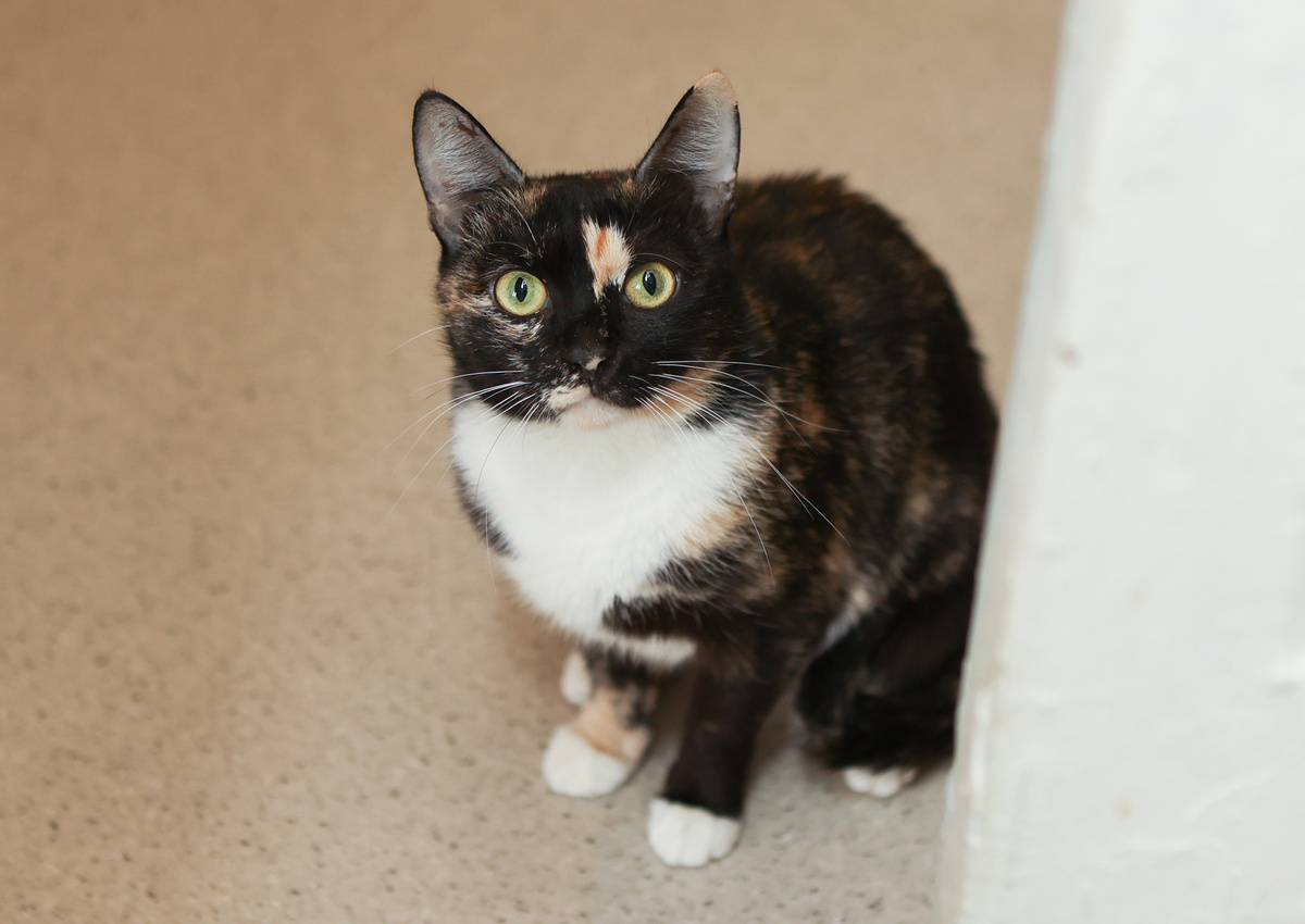 Можно мне одной пожить, пожалуйста)