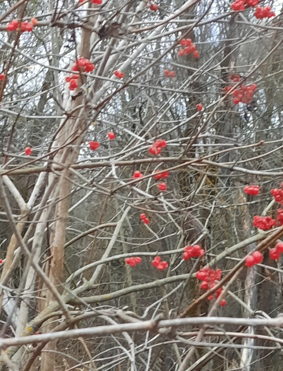 Маловато... Фото автора 