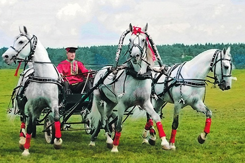 Фото из архива автора