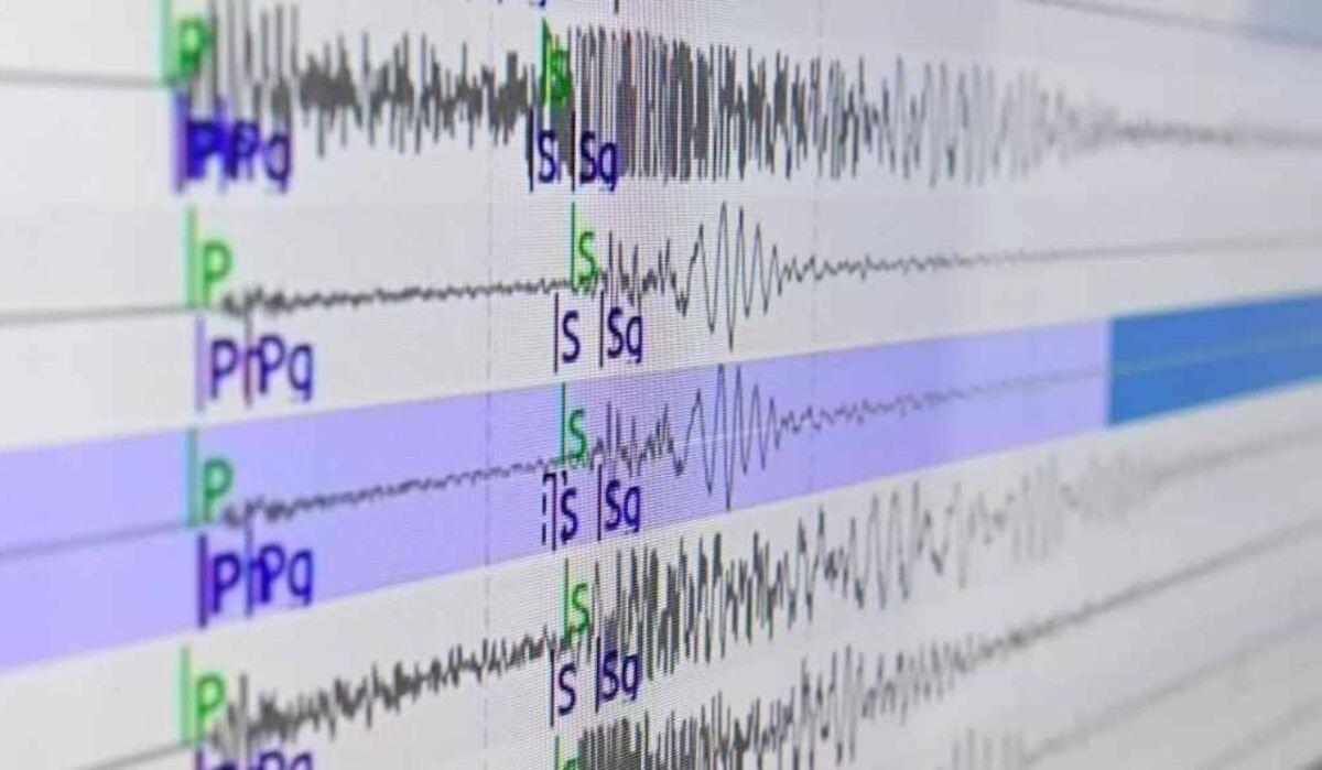     Сейсмограммы. Источник: ria.ru Автор фото: Александр Кряжев