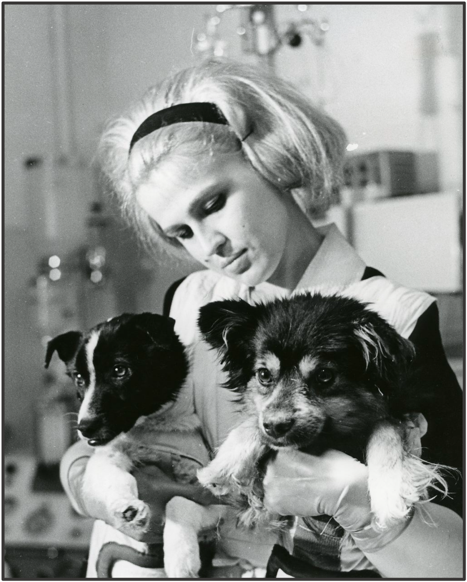 Уголек и Ветерок, фото Ю.В. Афонин