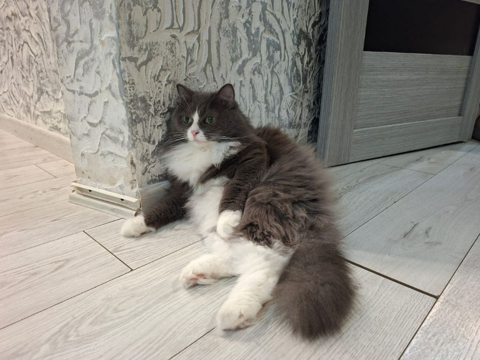    Фото: REGIONS/Юлия Габбасова