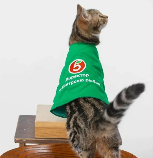 Фото из открытых источников