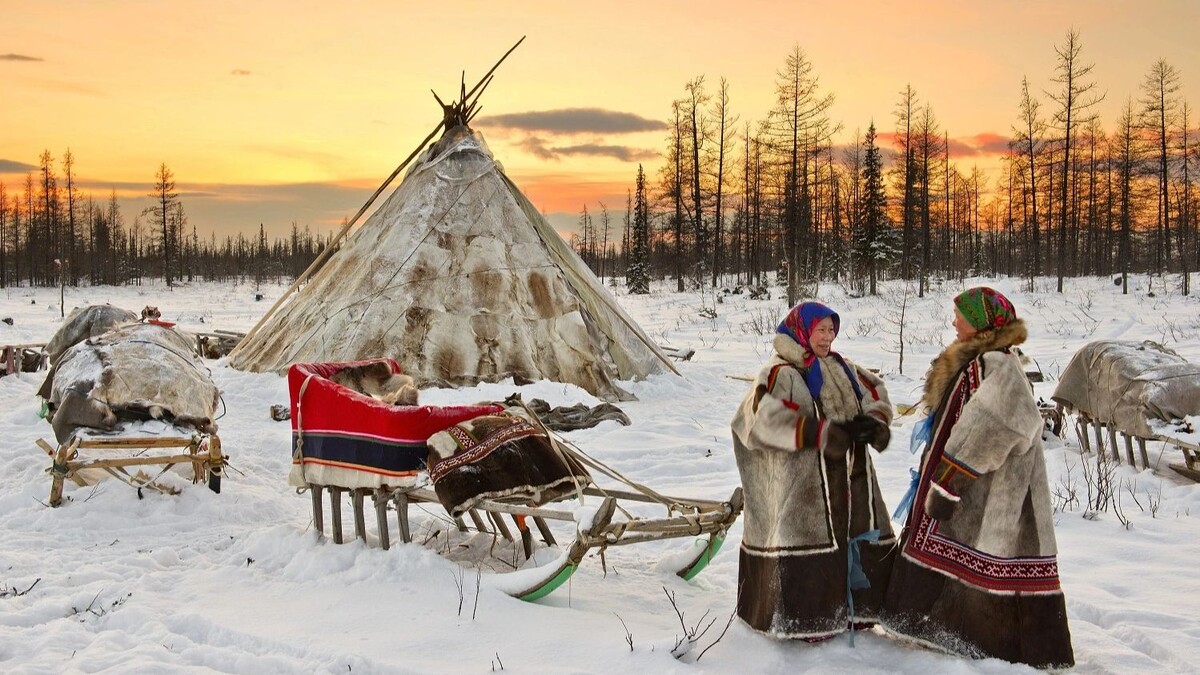    Фото: longtaildog / shutterstock.com / Fotodom