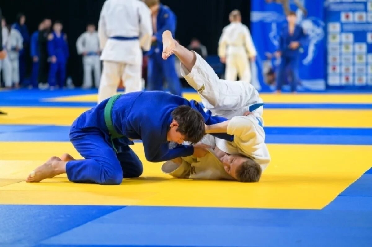    В настоящее время в Оренбургской области дзюдо занимаются 6245 человек.