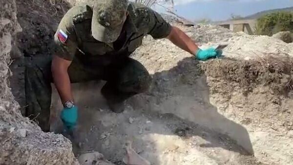    © Скриншот видео