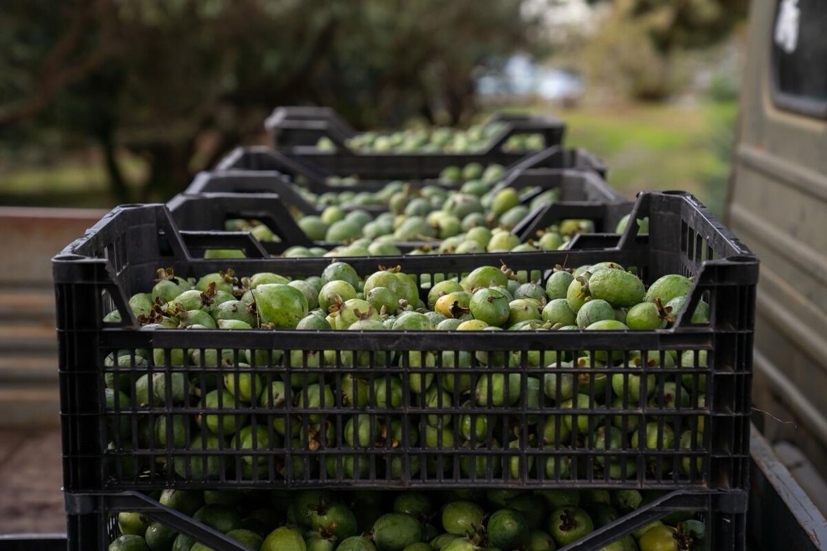    Фото: Евгений Грох