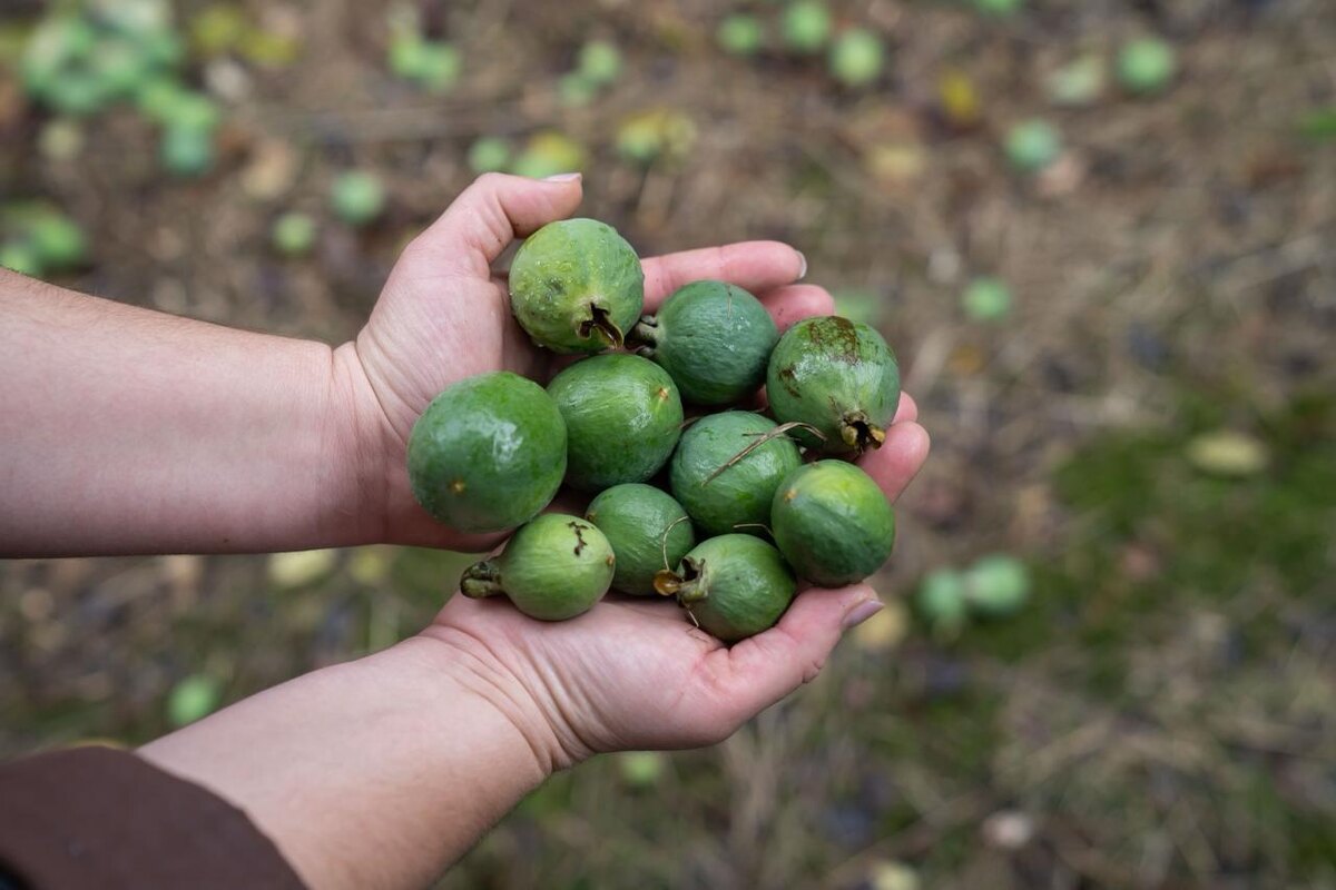    Фото: Евгений Грох