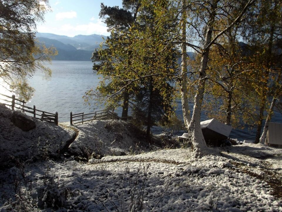    Осень в Алтайском заповеднике. Источник: Олег Митрофанов