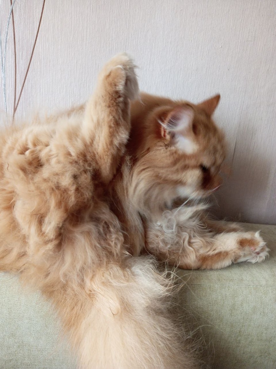 Умывание с проветриванием