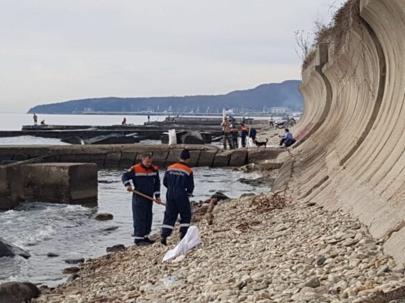    t.me/glavatuapseregion/