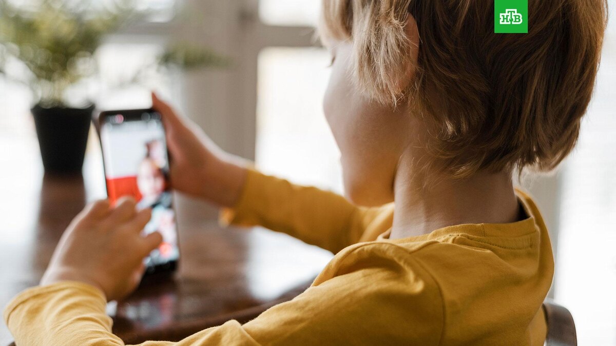    Фото: freepik.com