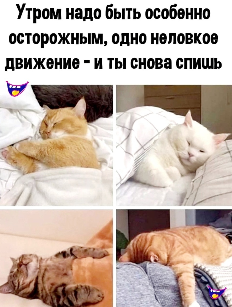 Источник: соцсети