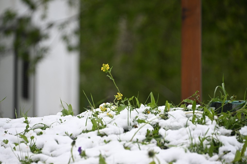    Синоптик Тишковец: Первый снег в Москве выпадет в ночь на 11 ноября Евгения ГУСЕВА