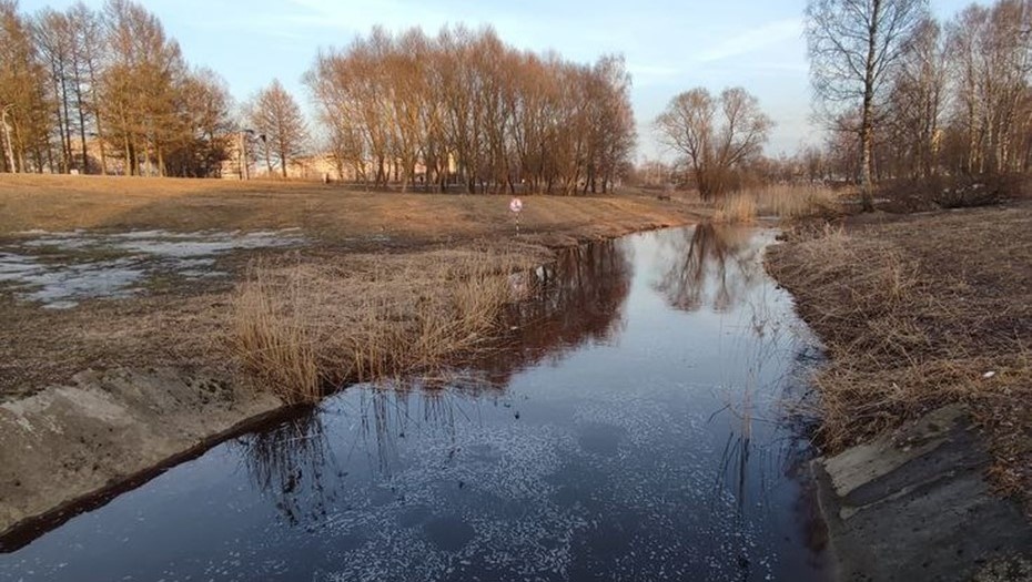Автор фото: депутат ЗакСа Петербурга Алексей Зинчук